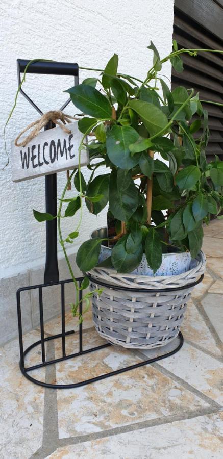 Rentfox - Crikvenica