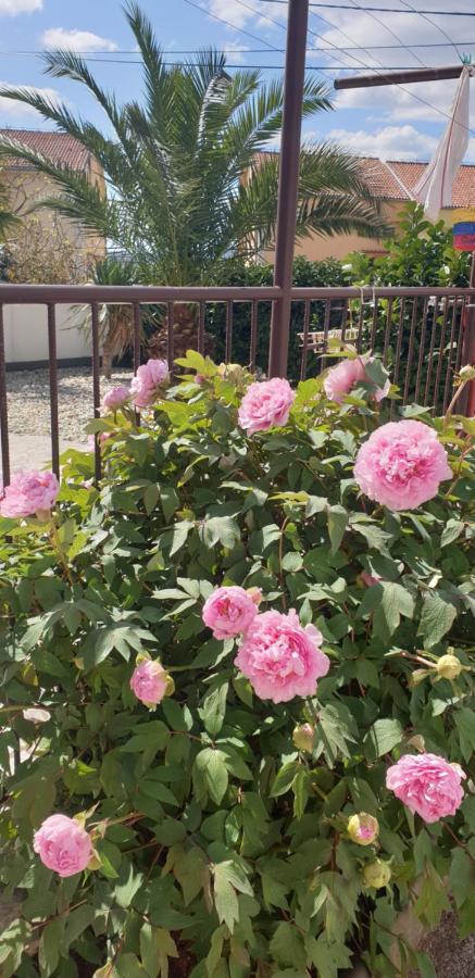 Rentfox - Apartment Crikvenica